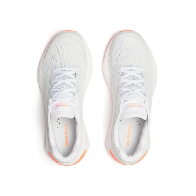Men’s Morphlite Men’s Morphlite